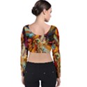 Hbz517a Velvet Long Sleeve Crop Top View2