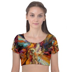 Hbz517a Velvet Short Sleeve Crop Top  by HoundB