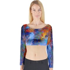 Z349 05 Long Sleeve Crop Top by HoundB