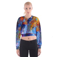 Z349 05 Cropped Sweatshirt by HoundB