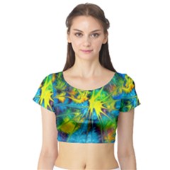 Hbn0001 04 Short Sleeve Crop Top by HoundB