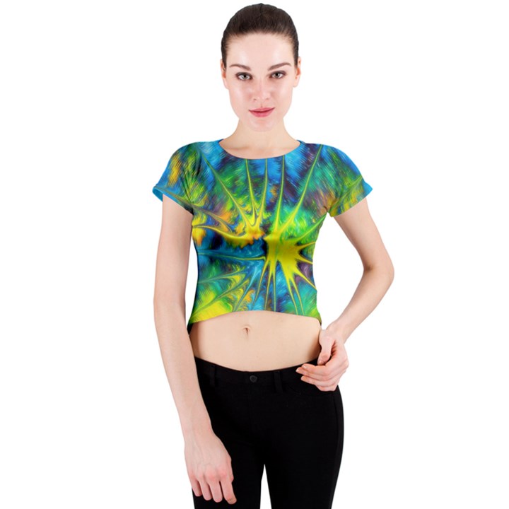 Hbn0001 04 Crew Neck Crop Top