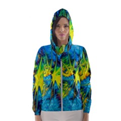 Hbn0001 04 Hooded Windbreaker (women)