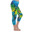 Hbn0001 04 Capri Winter Leggings  View3