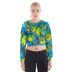 Hbn0001 04 Cropped Sweatshirt