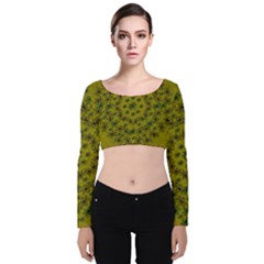 Flower Wreath In The Green Soft Yellow Nature Velvet Long Sleeve Crop Top by pepitasart