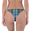 Playing with Plaid Kitten (Blue) Pattern Reversible Bikini Bottom View2