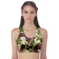 Salad Lettuce Vegetable Sports Bra by Sapixe