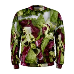 Salad Lettuce Vegetable Men s Sweatshirt by Sapixe