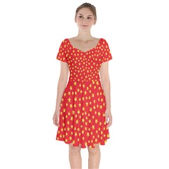 Pattern Stars Multi Color Short Sleeve Bardot Dress by Sapixe