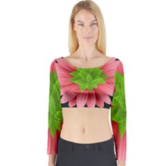 Plant Flower Flowers Design Leaves Long Sleeve Crop Top by Sapixe