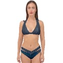 Pinstripe in Diamond Head Pins Pattern Double Strap Halter Bikini Set View1