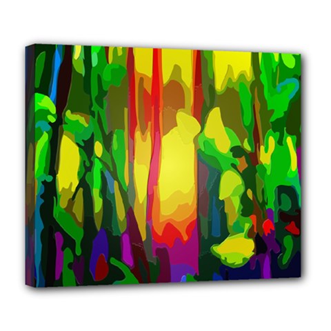 Abstract Vibrant Colour Botany Deluxe Canvas 24  X 20  (stretched) by Sapixe