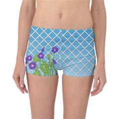 Morning Glory Argyle (blue Sky) Pattern Boyleg Bikini Bottoms by emilyzragz