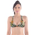 Flower Color Nature Plant Crafts Plunge Bikini Top View1