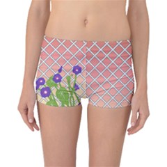 Morning Glory Argyle (blue Sky) Pattern Boyleg Bikini Bottoms by emilyzragz