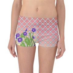 Morning Glory Argyle (blue Sky) Pattern Reversible Boyleg Bikini Bottoms by emilyzragz