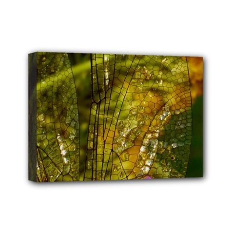 Dragonfly Dragonfly Wing Close Up Mini Canvas 7  X 5  (stretched) by Sapixe