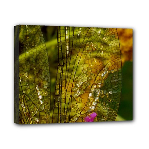 Dragonfly Dragonfly Wing Close Up Canvas 10  X 8  (stretched) by Sapixe