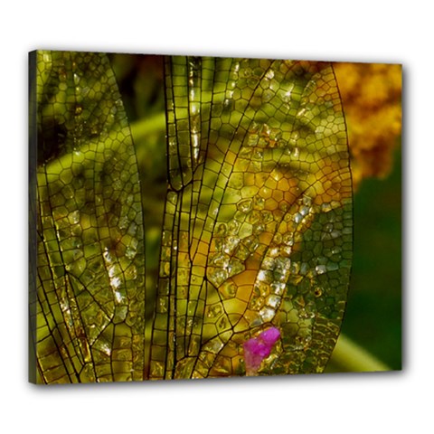 Dragonfly Dragonfly Wing Close Up Canvas 24  X 20  (stretched) by Sapixe