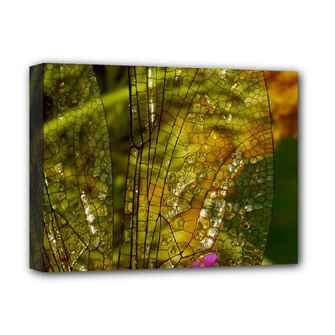 Dragonfly Dragonfly Wing Close Up Deluxe Canvas 16  X 12  (stretched)  by Sapixe