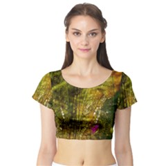 Dragonfly Dragonfly Wing Close Up Short Sleeve Crop Top by Sapixe