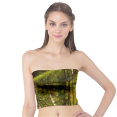 Dragonfly Dragonfly Wing Close Up Tube Top by Sapixe