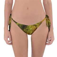 Dragonfly Dragonfly Wing Close Up Reversible Bikini Bottom by Sapixe