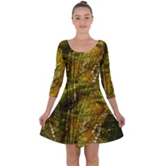 Dragonfly Dragonfly Wing Close Up Quarter Sleeve Skater Dress by Sapixe