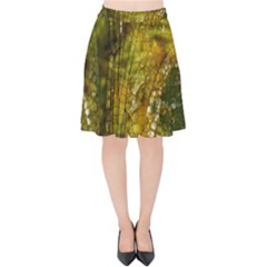 Dragonfly Dragonfly Wing Close Up Velvet High Waist Skirt by Sapixe