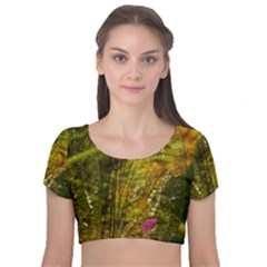 Dragonfly Dragonfly Wing Close Up Velvet Short Sleeve Crop Top  by Sapixe