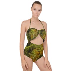 Dragonfly Dragonfly Wing Close Up Scallop Top Cut Out Swimsuit by Sapixe