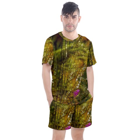 Dragonfly Dragonfly Wing Close Up Men s Mesh Tee And Shorts Set by Sapixe