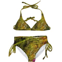 Dragonfly Dragonfly Wing Close Up Kids  Classic Bikini Set