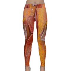 Bark Tree Texture Wood Trunk Classic Yoga Leggings by Sapixe