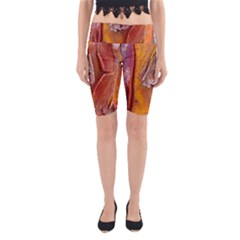 Bark Tree Texture Wood Trunk Yoga Cropped Leggings by Sapixe