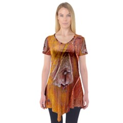 Bark Tree Texture Wood Trunk Short Sleeve Tunic  by Sapixe