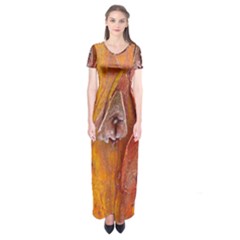 Bark Tree Texture Wood Trunk Short Sleeve Maxi Dress by Sapixe