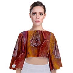 Bark Tree Texture Wood Trunk Tie Back Butterfly Sleeve Chiffon Top by Sapixe