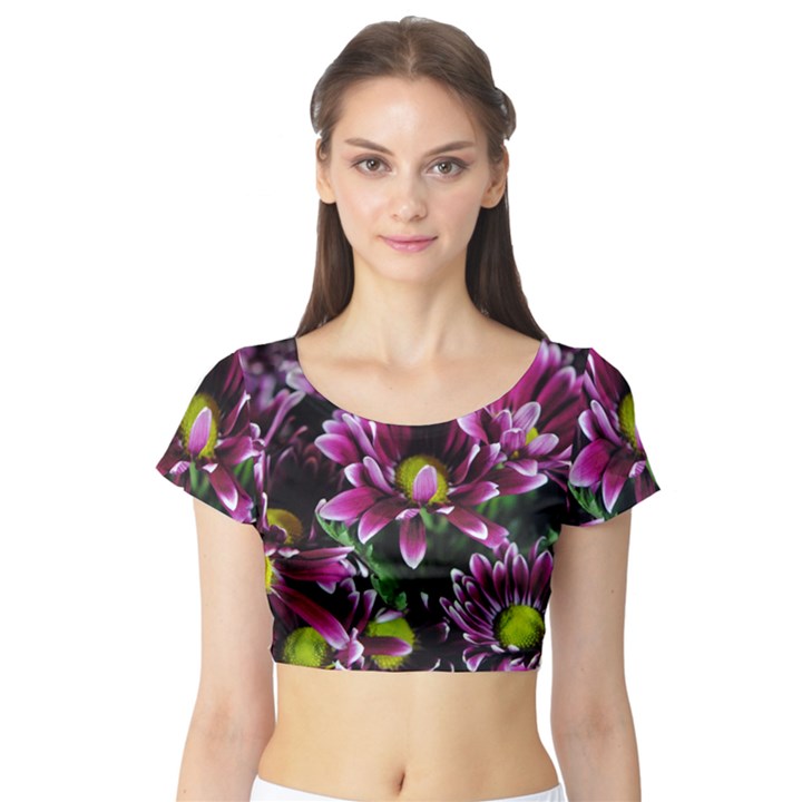 Maroon And White Mums Short Sleeve Crop Top