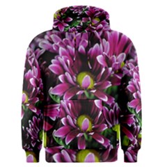 Maroon And White Mums Men s Pullover Hoodie