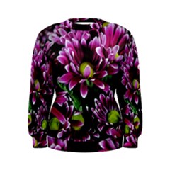 Maroon And White Mums Women s Sweatshirt