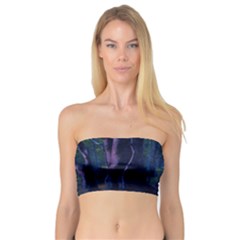 Beeches Tree Forest Beech Shadows Bandeau Top by Sapixe