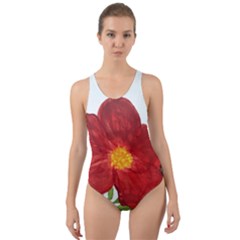 Deep Plumb Blossom Cut-out Back One Piece Swimsuit by lwdstudio