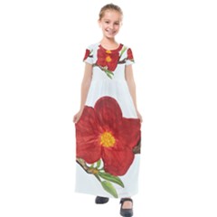 Deep Plumb Blossom Kids  Short Sleeve Maxi Dress by lwdstudio