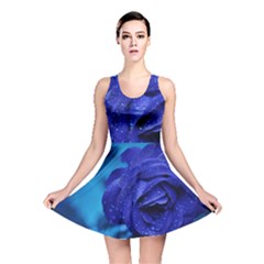 Beauty Bloom Blue 67636 Reversible Skater Dress