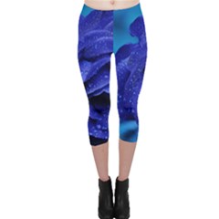 Beauty Bloom Blue 67636 Capri Leggings 