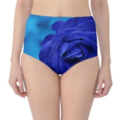 Beauty Bloom Blue 67636 Classic High-waist Bikini Bottoms by hhhh