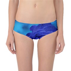 Beauty Bloom Blue 67636 Classic Bikini Bottoms