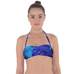 Beauty Bloom Blue 67636 Halter Bandeau Bikini Top